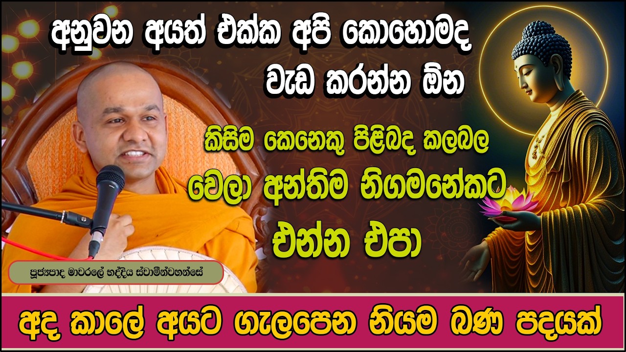 අපි පරිණතයි කියන අය මේක අහන්න  | ඔබට වැරදුනු තැන | mawarale baddiya himi  | මාවරලේ භද්දිය හිමි