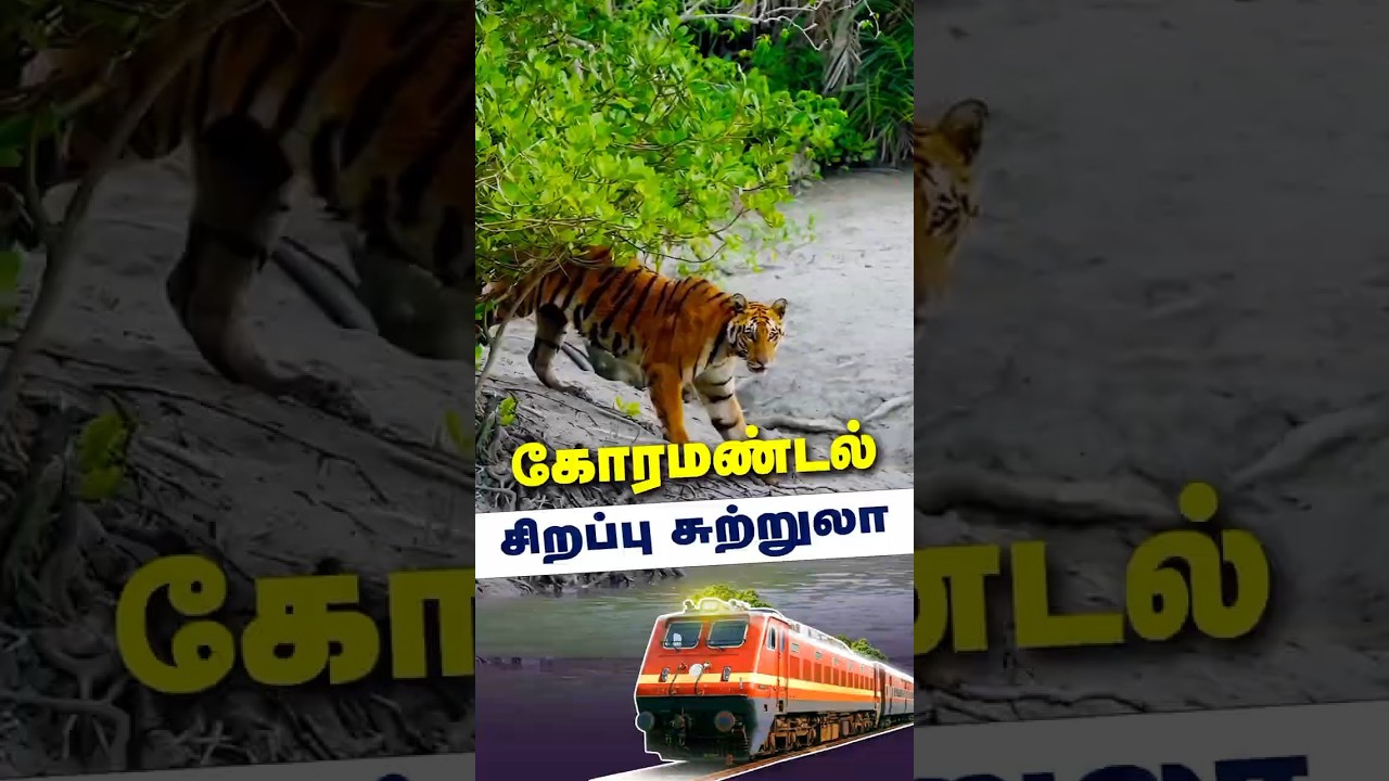 Coromandel Coastal Bliss | Bharat Gaurav Train Tour 2025 | 11-Day South India Journey 