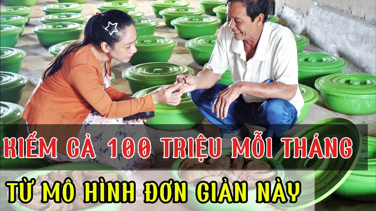 Làm Giàu Từ Quê Với Mô Hình Nuôi Đuông Dừa – Bí Quyết Tăng Thu Nhập Bền Vững