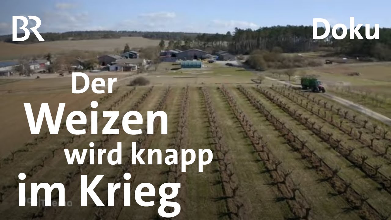 Ackern gegen Putin: Landwirtschaft in Kriegszeiten | Bauern | Doku | DokThema | BR