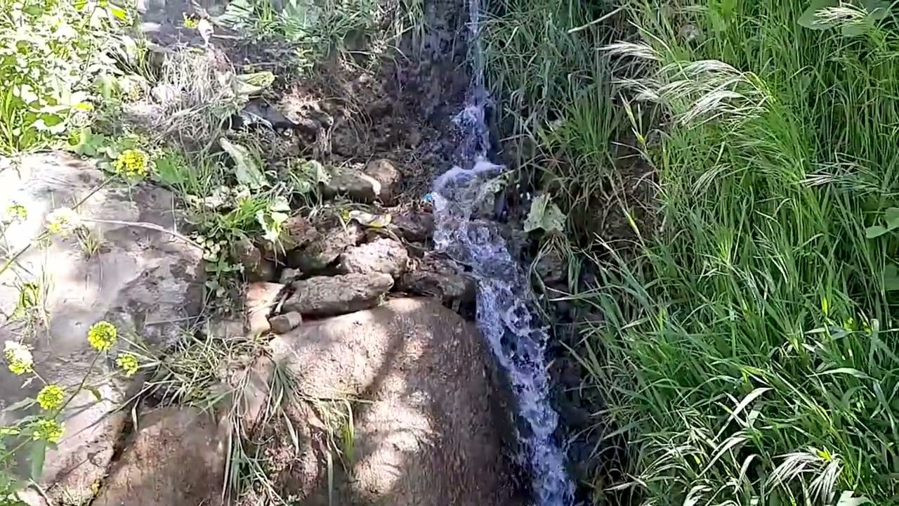 سهل الغاب - ريف حماة || جمال الطبيعة السورية 💚