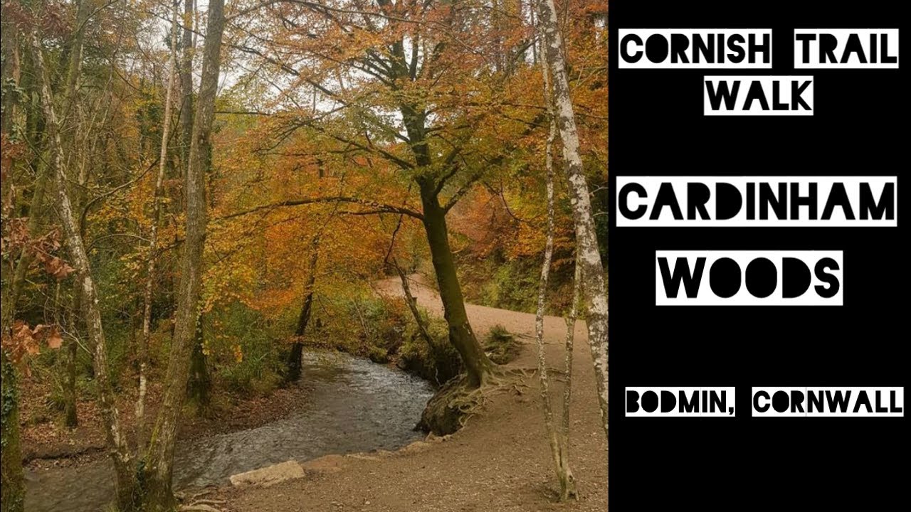 Cornish Trail Walk | Cardinham Woods | Bodmin, Cornwall