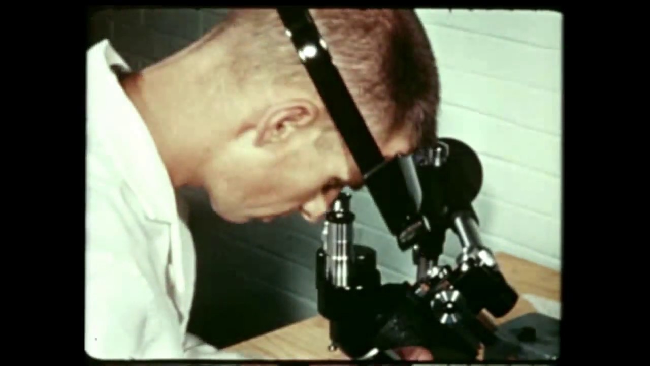 Saturn Quarterly Film Report, номер девять — сентябрь 1961 г. (архивный фильм)