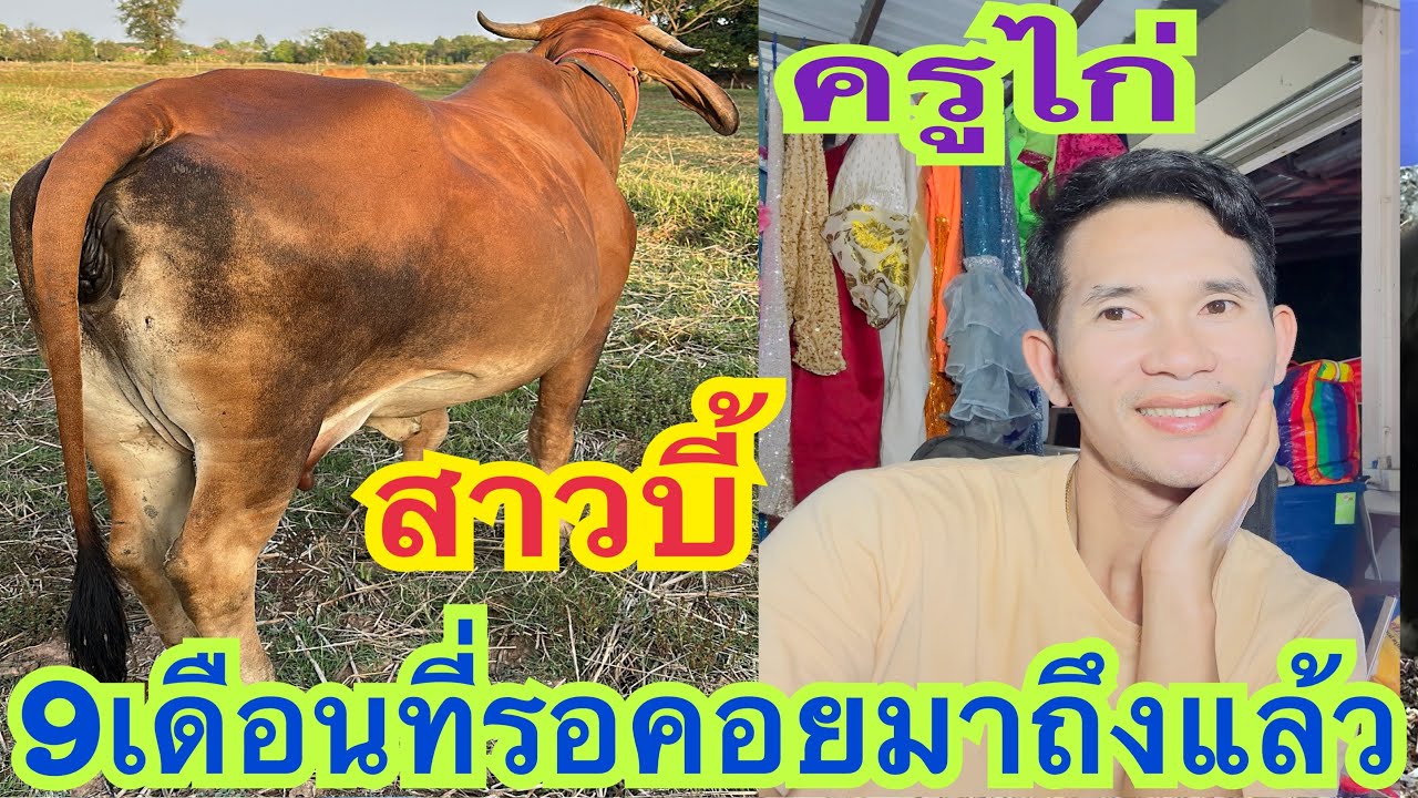 9เดือนที่รอคอยมาถึงแล้ว!!! #ครูไก่เพชรบ้านแพง