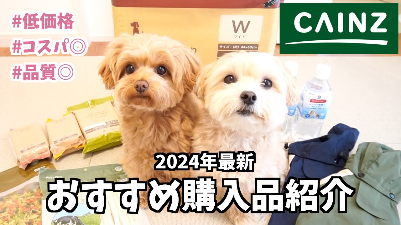 【2024年CAINZ購入品】低価格で品質◎CAINZ最新ペットグッズ購入品紹介🐶正直レビューもお伝えしています！【犬グッズ】