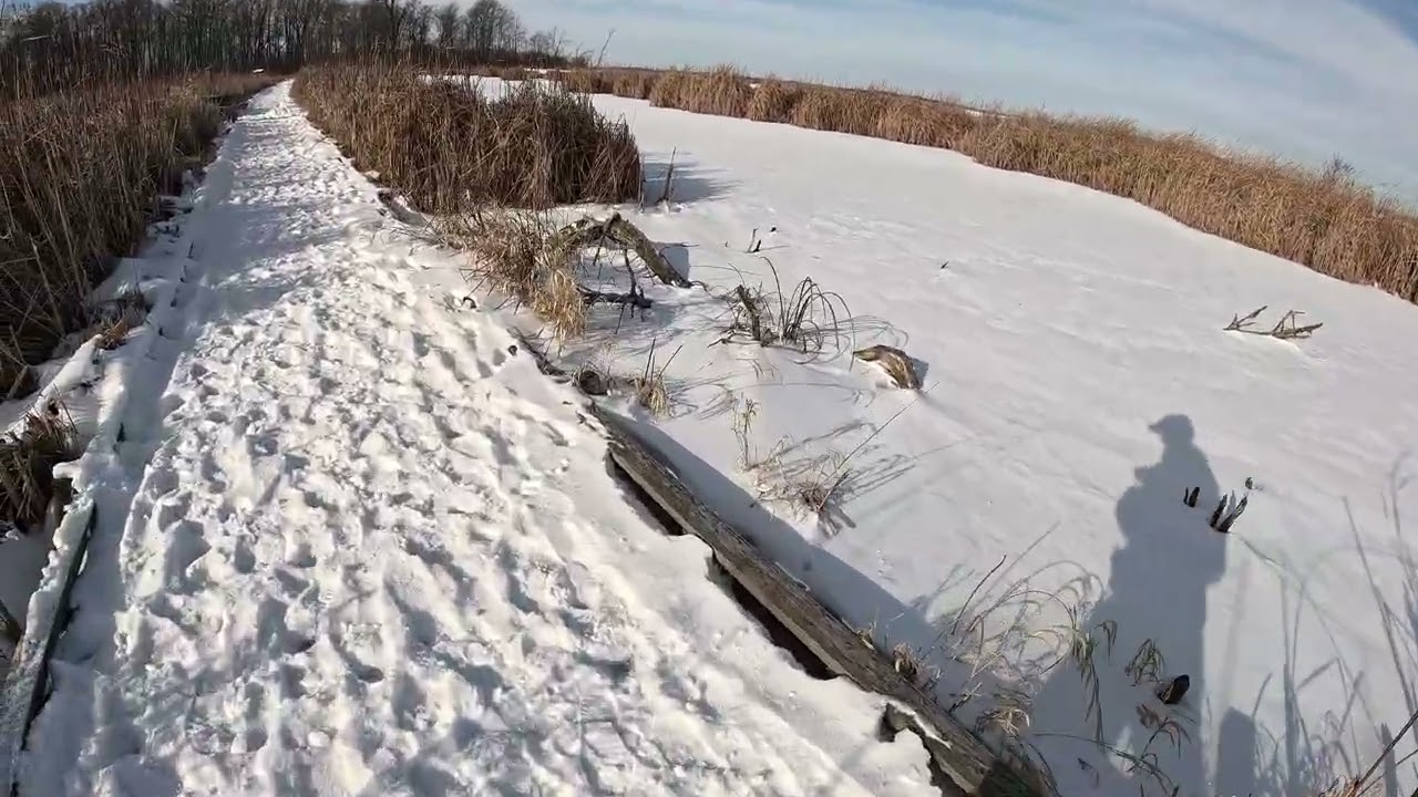 Horicon Marsh