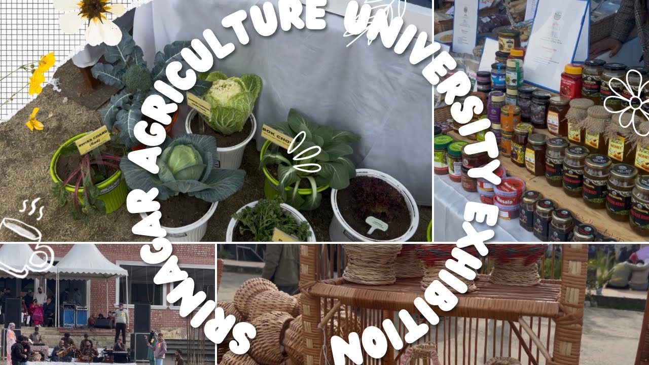 Srinagar agriculture university exhibition. 