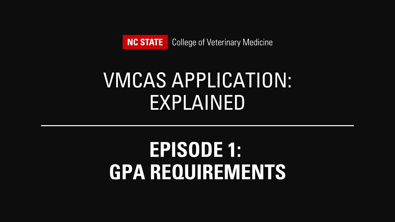 Episode 1: GPA Requirements | VMCAS Application: Explained by the 