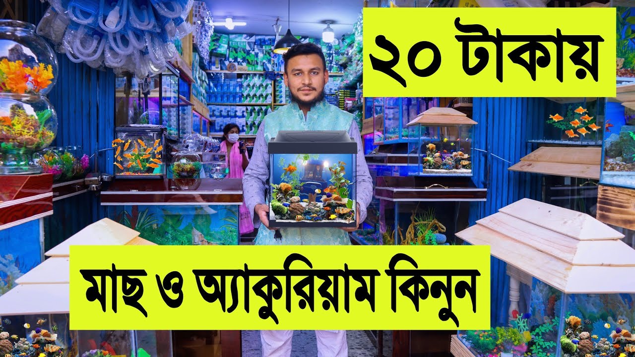 20 টাকায় মাছ ও অ্যাকুরিয়াম কিনুন | ঢাকা বিশ্ববিদ্যালয় কাঁটাবন মার্কেট | aquarium fish price 2022
