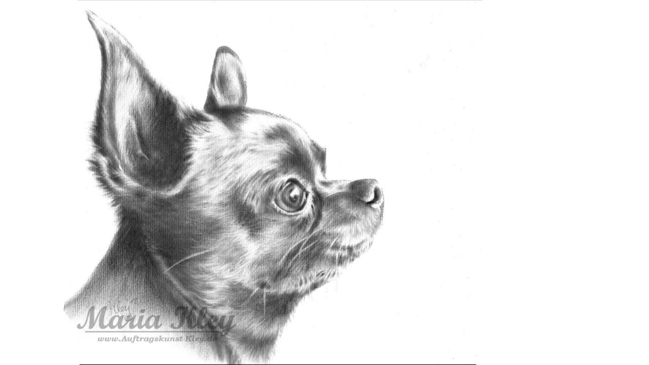 Tutorial: Hundeportrait in Trockenmaltechnik/Trockenpinseltechnik/Trocken-&Ouml;l-Technik/Dry Brush