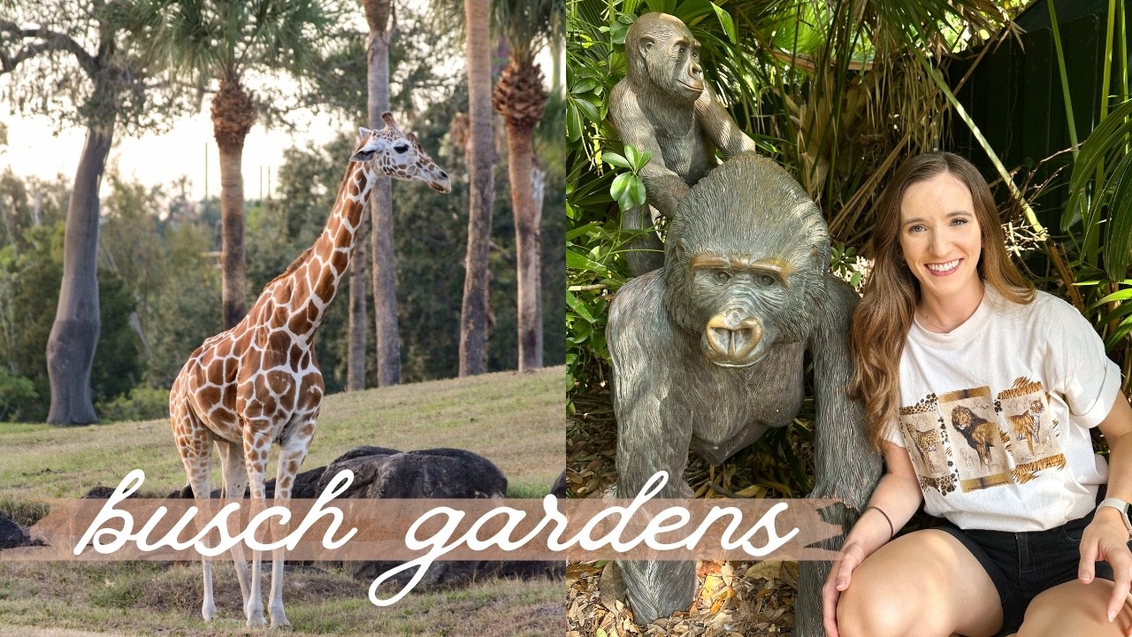 A Day at Busch Gardens Tampa 🦒 + Eating at Maria & Enzo's Ristorante at Disney Springs 🍝