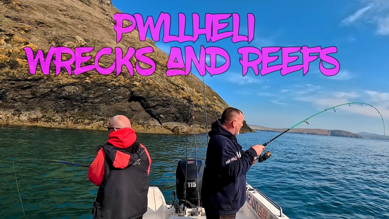Wreck and reef fishing , we found the fish  . Uk sea fishing