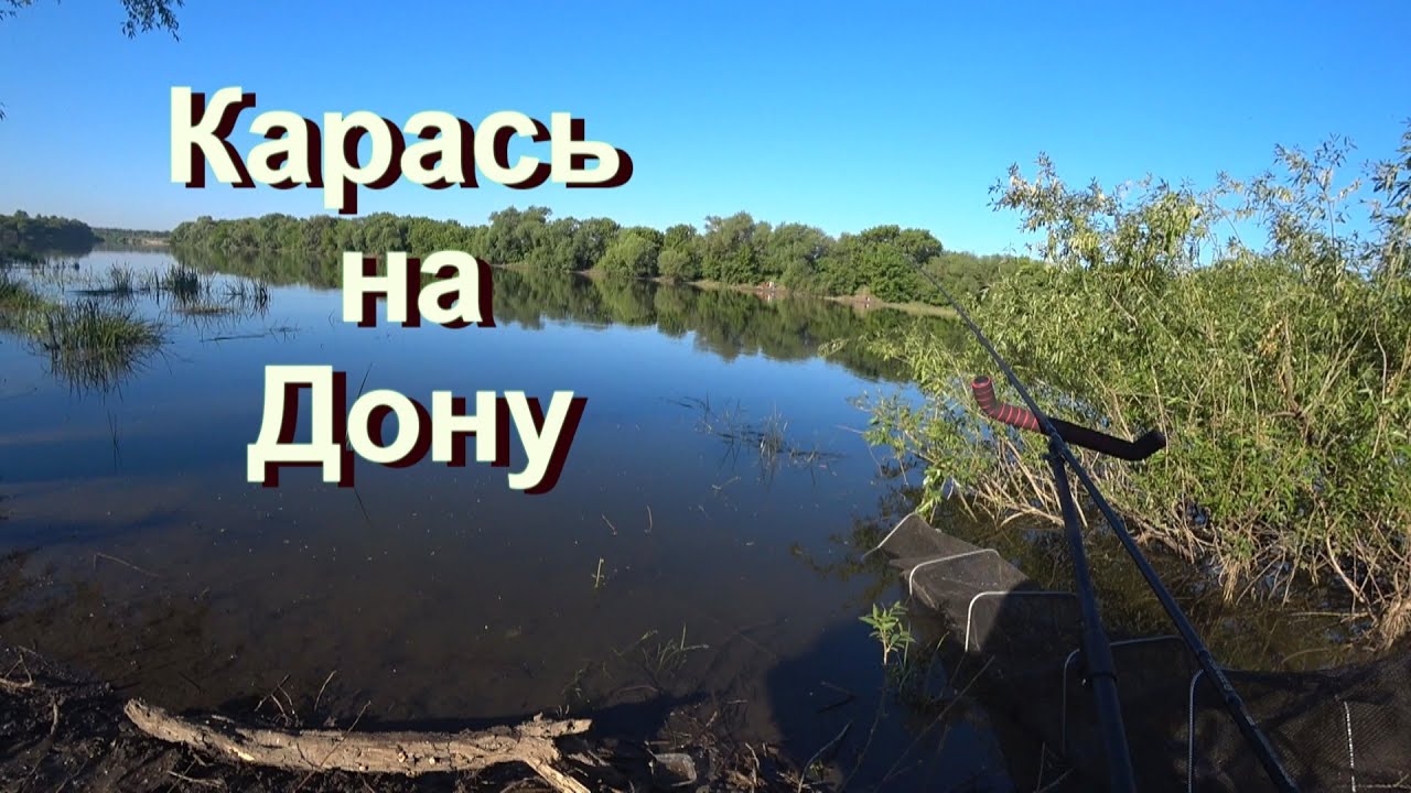 Карась на фидер на реке Дон в мае. Поклевки крупным планом.