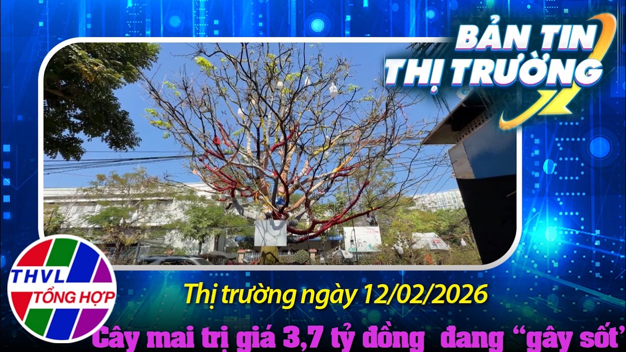 Bản tin thị trường (12/02/2026): Cây mai 100 tuổi trị giá 3,7 tỷ đồng  đang “gây sốt”