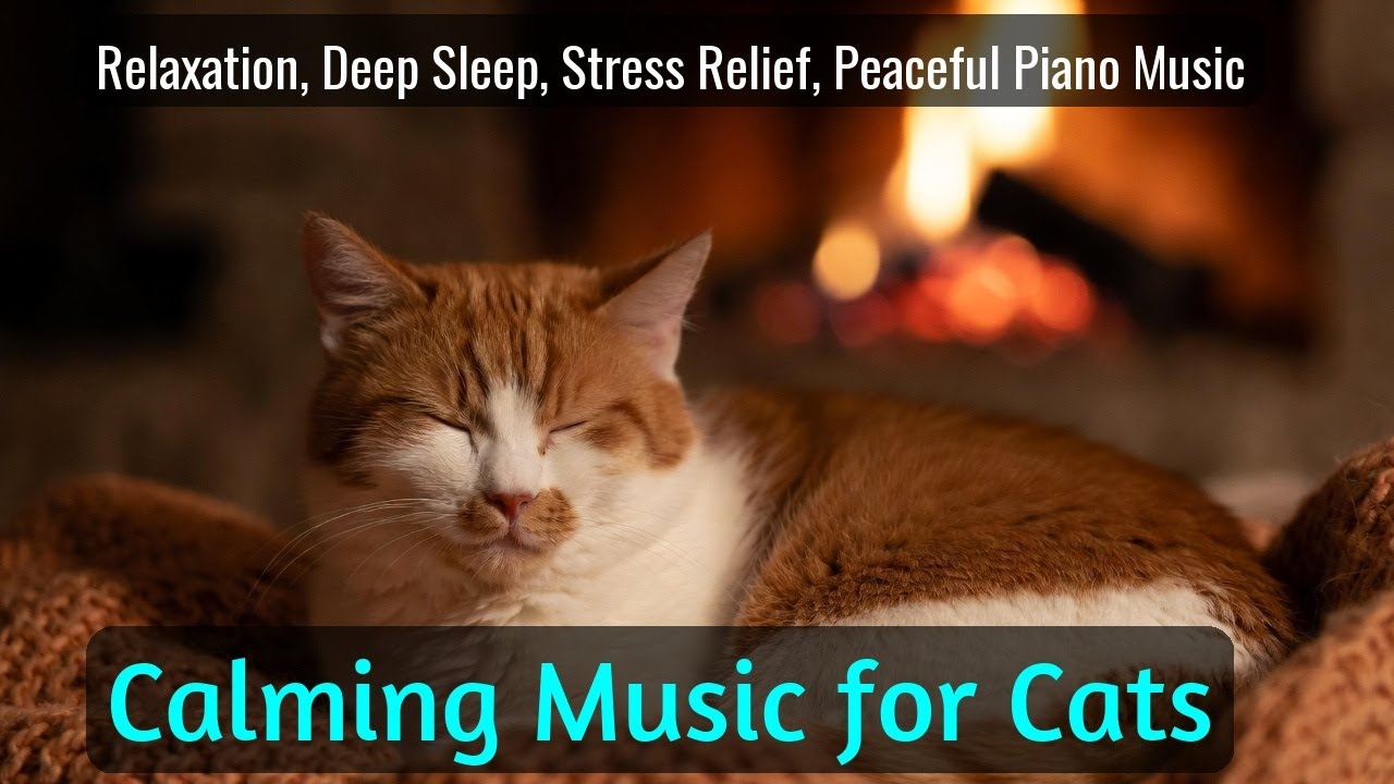 Calming Music for Cats - Relaxation, Deep Sleep, Stress Relief, Peaceful Piano Music | Season 72