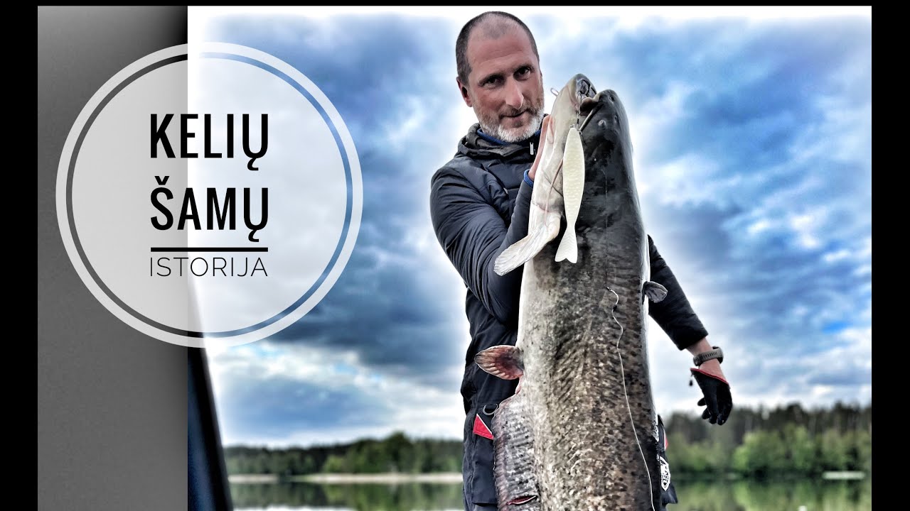Kelių šamų istorija