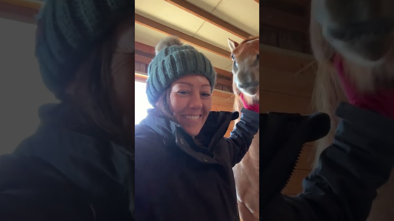 February 21 of cancer journey: trying to be real about fear while a horse invades my personal space 