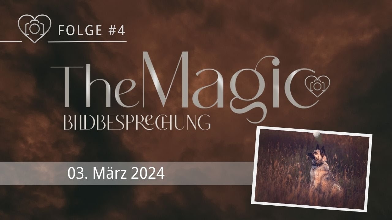 THE MAGIC | Live Bildbesprechung