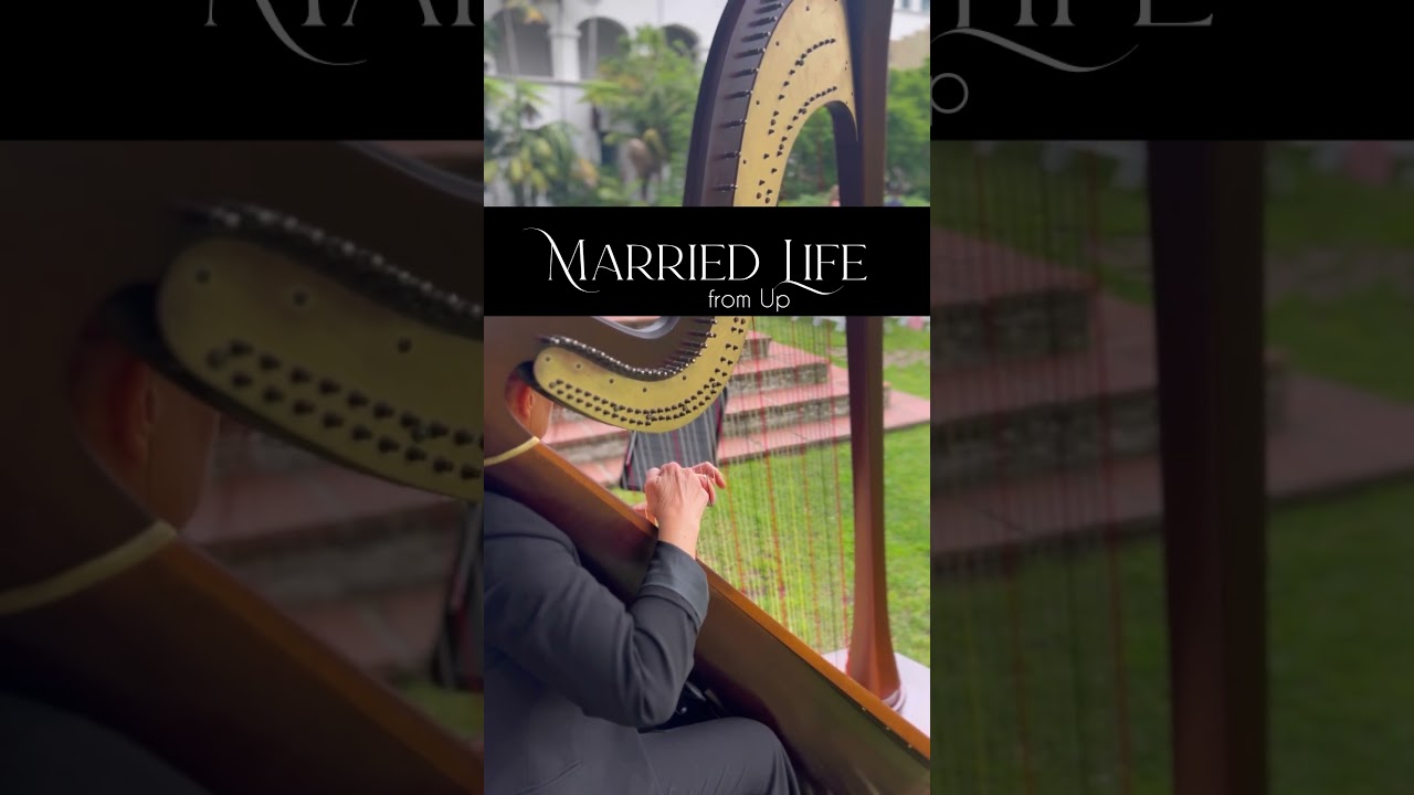 Married Life from Up Live | wedding harp cover