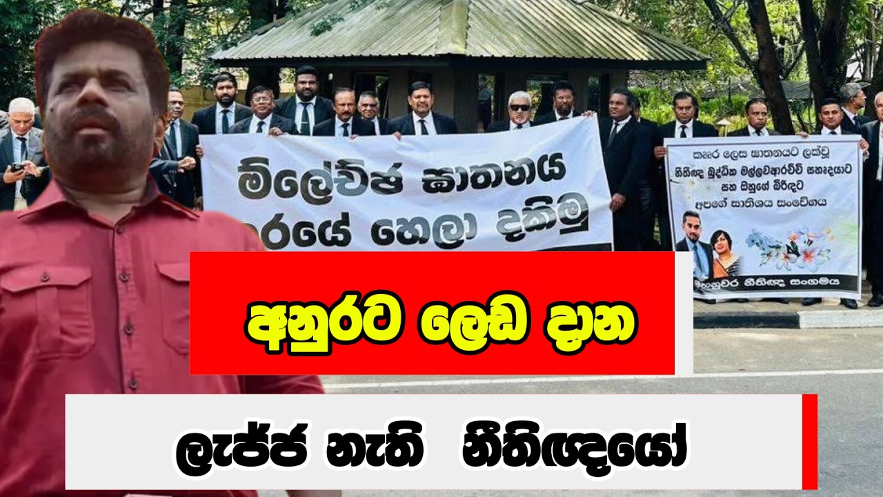 අනුරට ලෙඩ දාන ලැජ්ජ නැති  නීතිඥයෝ