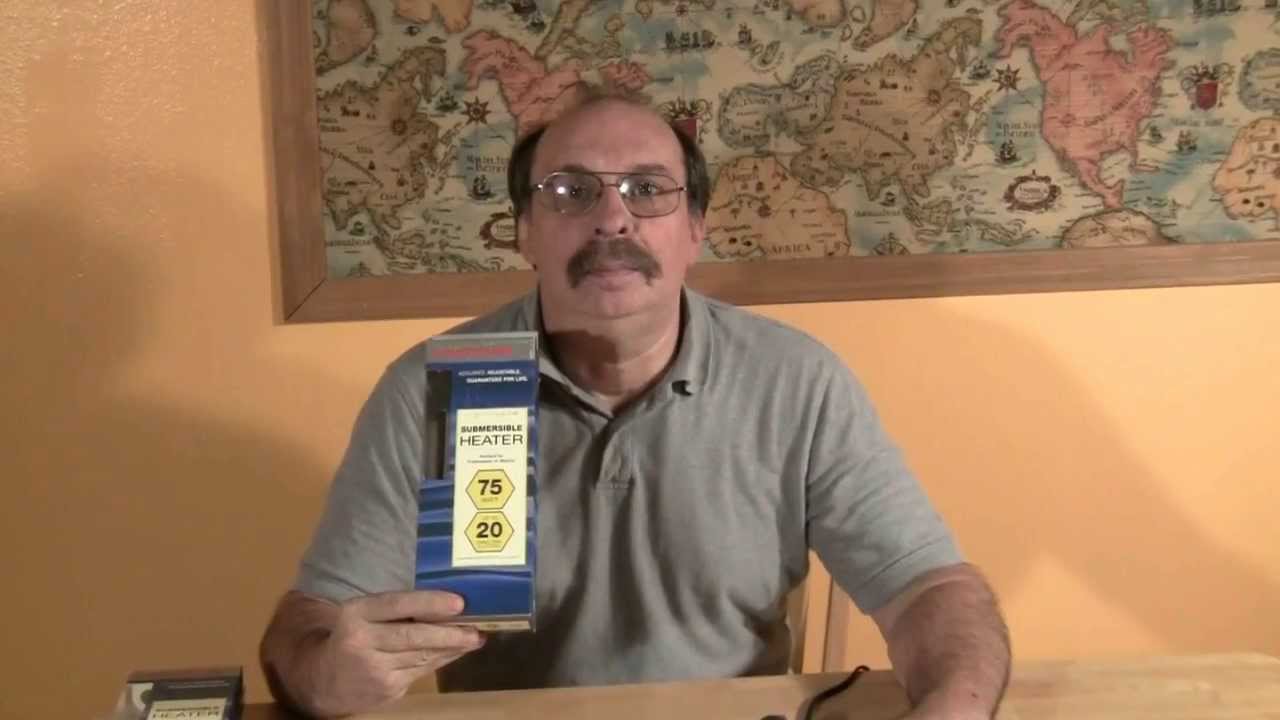 Testing the Marineland Visi Therm Aquarium Heater
