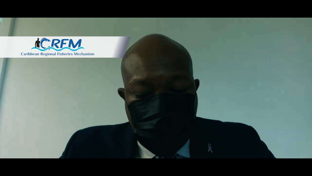 SAINT VINCENT AND THE GRENADINES: Statement on Copenhagen Declaration and Signing of Declaration