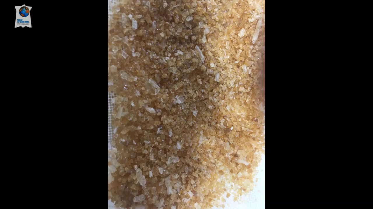 Gelatine Derivate 100% by Cow Cattle Hides