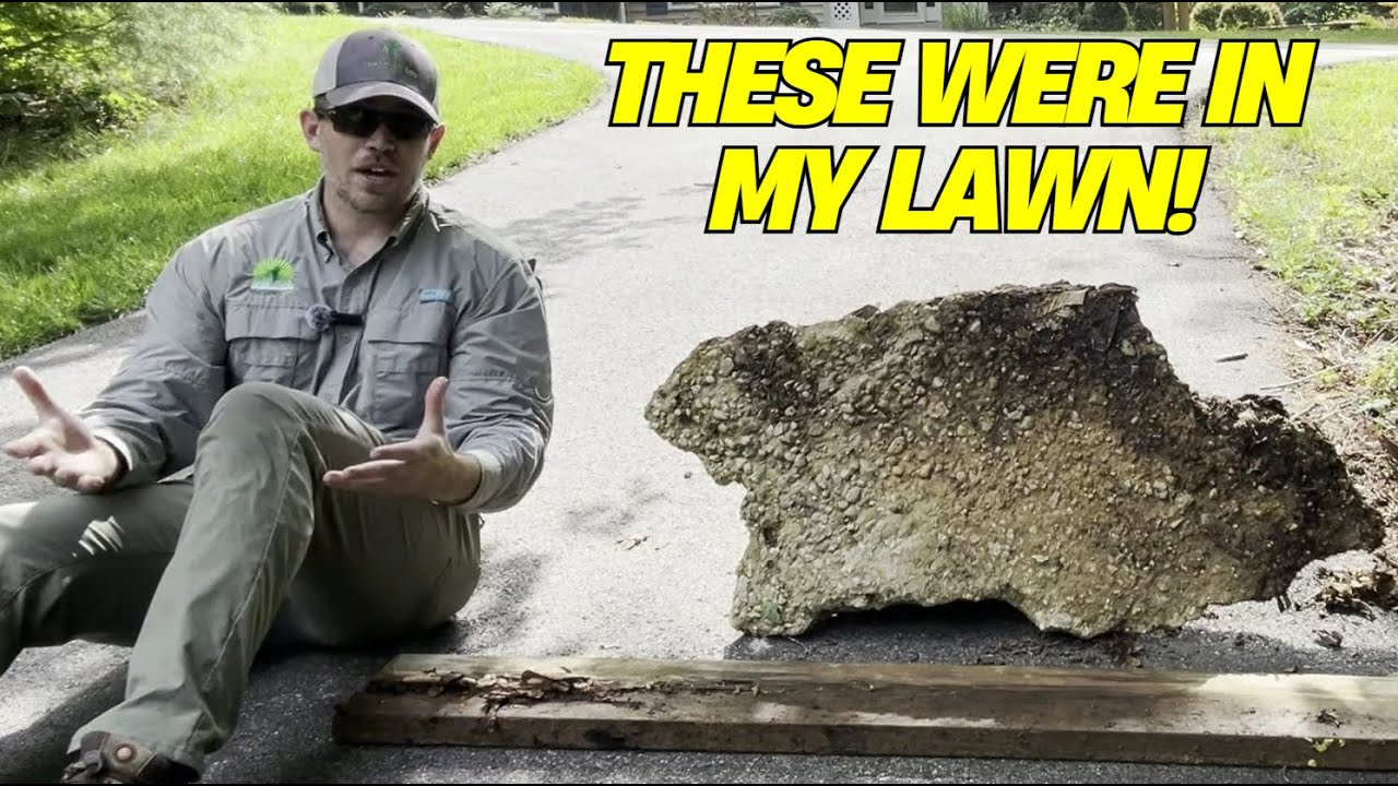 Lawn Screwdriver Test - Is Something Buried in Your Yard?