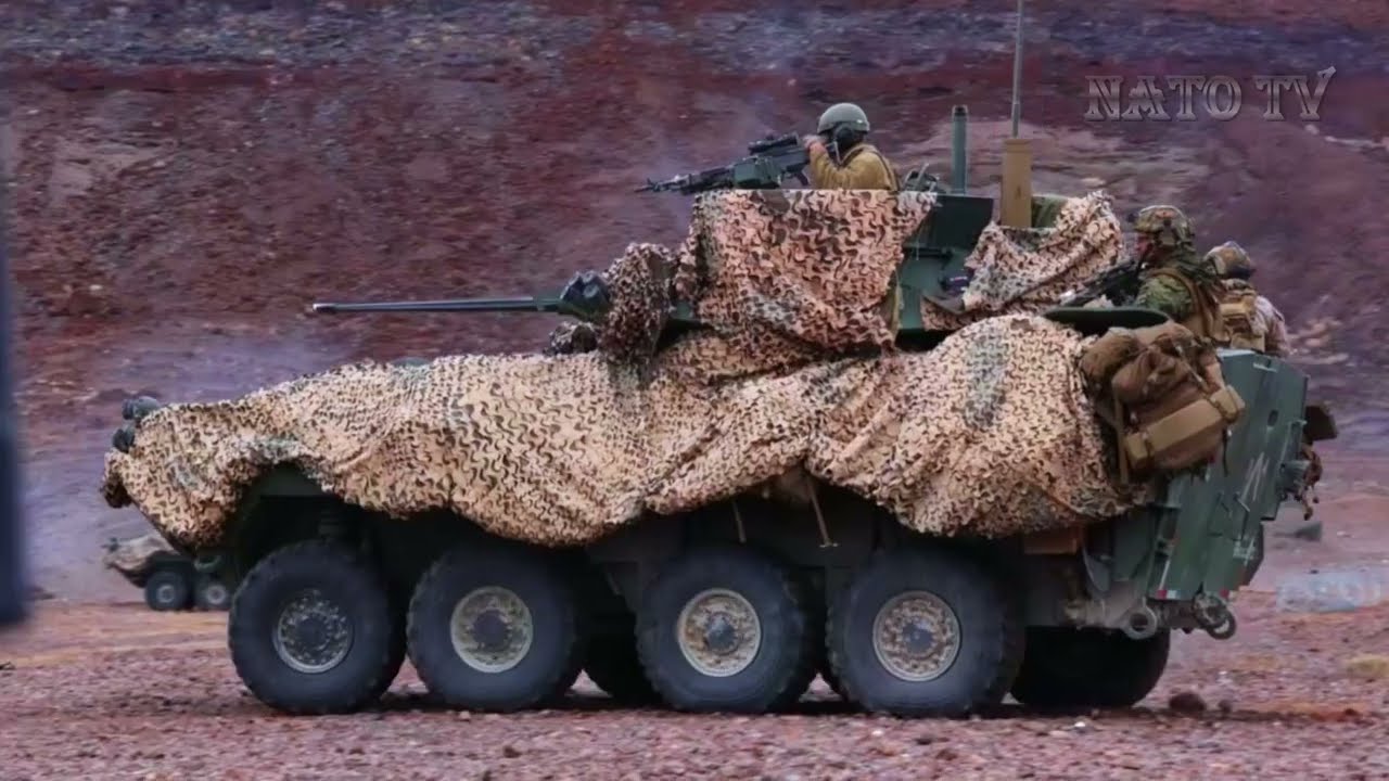 Platoon Attack in ITX 1-25: 1st and 3rd LAR Collaboration