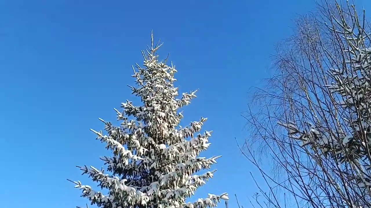 Зима в Финляндии.