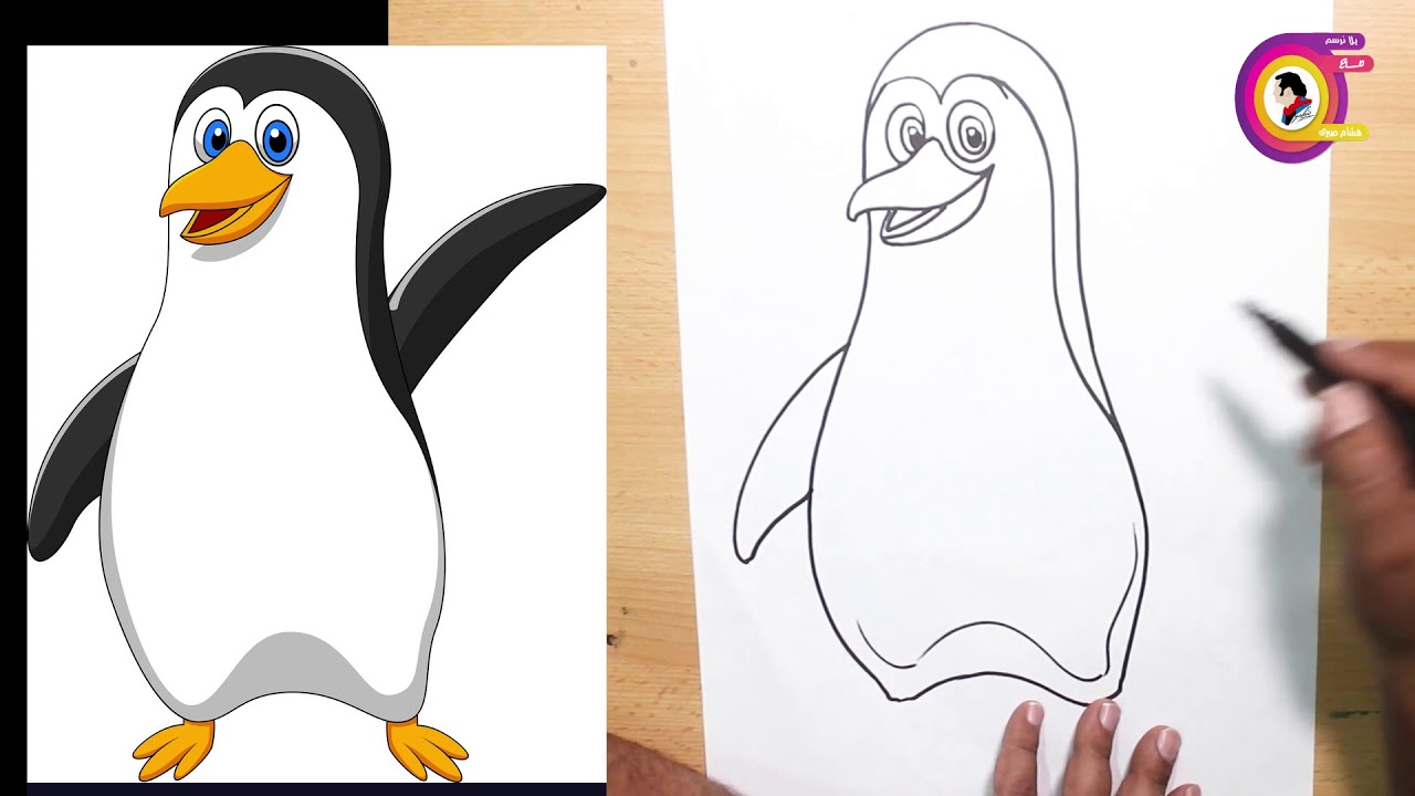 طريقة رسم بطريق خطوة خطوة تعلم الرسم للمبتدئين