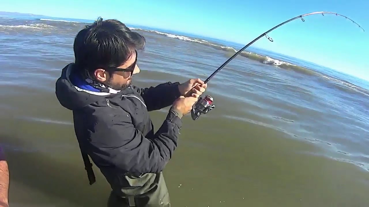 Pesca a Spinning Leccia AMIA 35 kg [AUDIO COMPLETO]