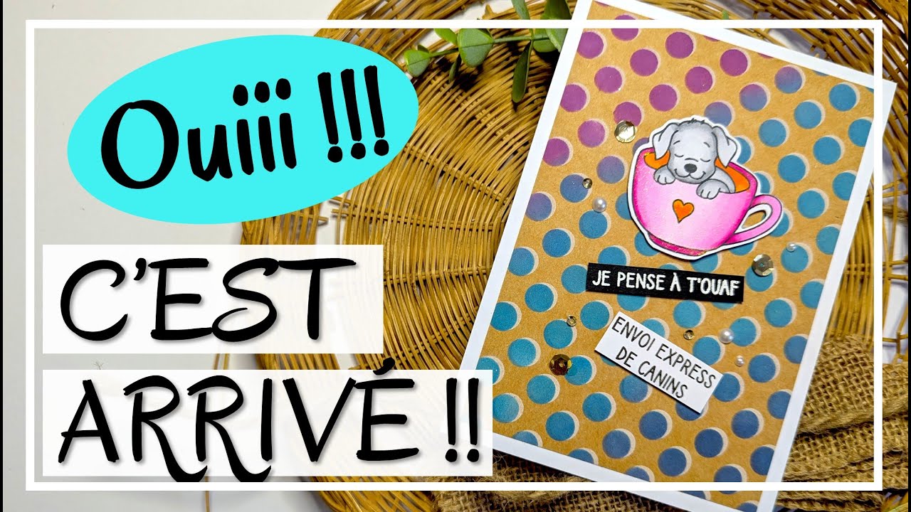 EFFET 3D FACILE !! Et ouiiii les nouveautés sont là !! C'EST TOP !! Tuto carterie DIY Scrapbooking