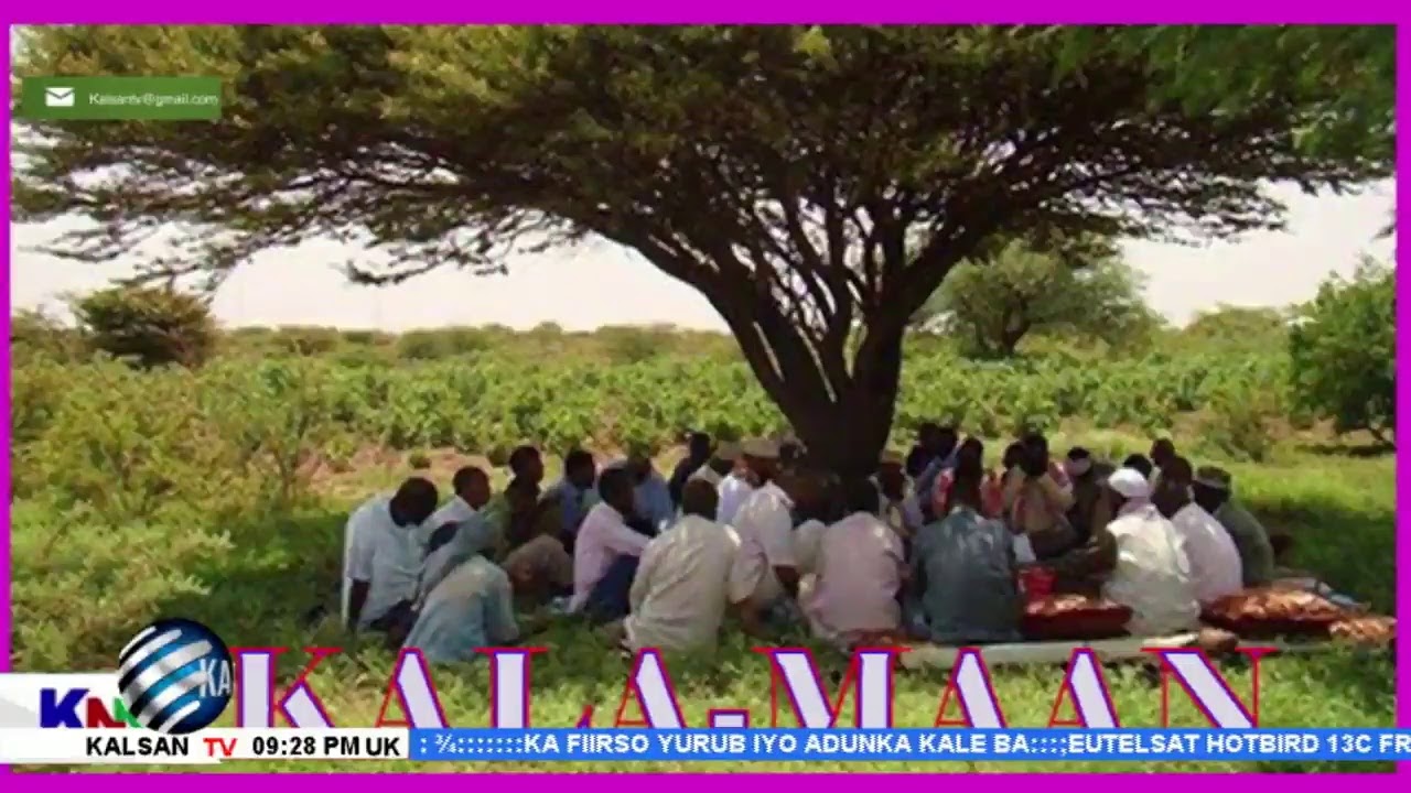 WARKA KALSANTV 23 10 2020