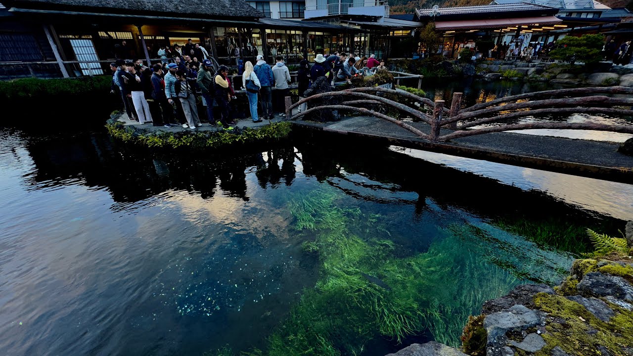 Japan’s Clearest Water Village! Oshino Hakkai 4K Walking Tour