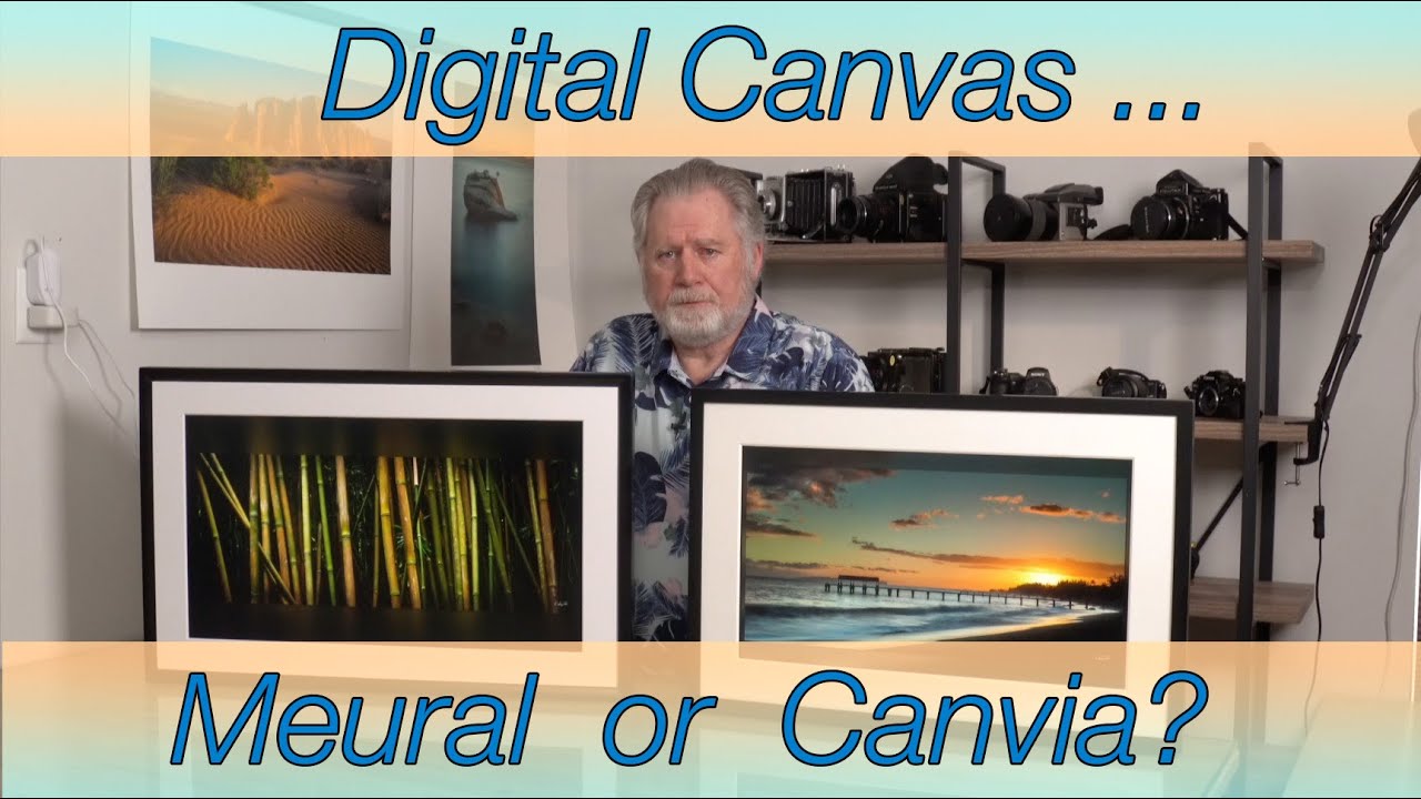 Meural or Canvia Digital Canvas?