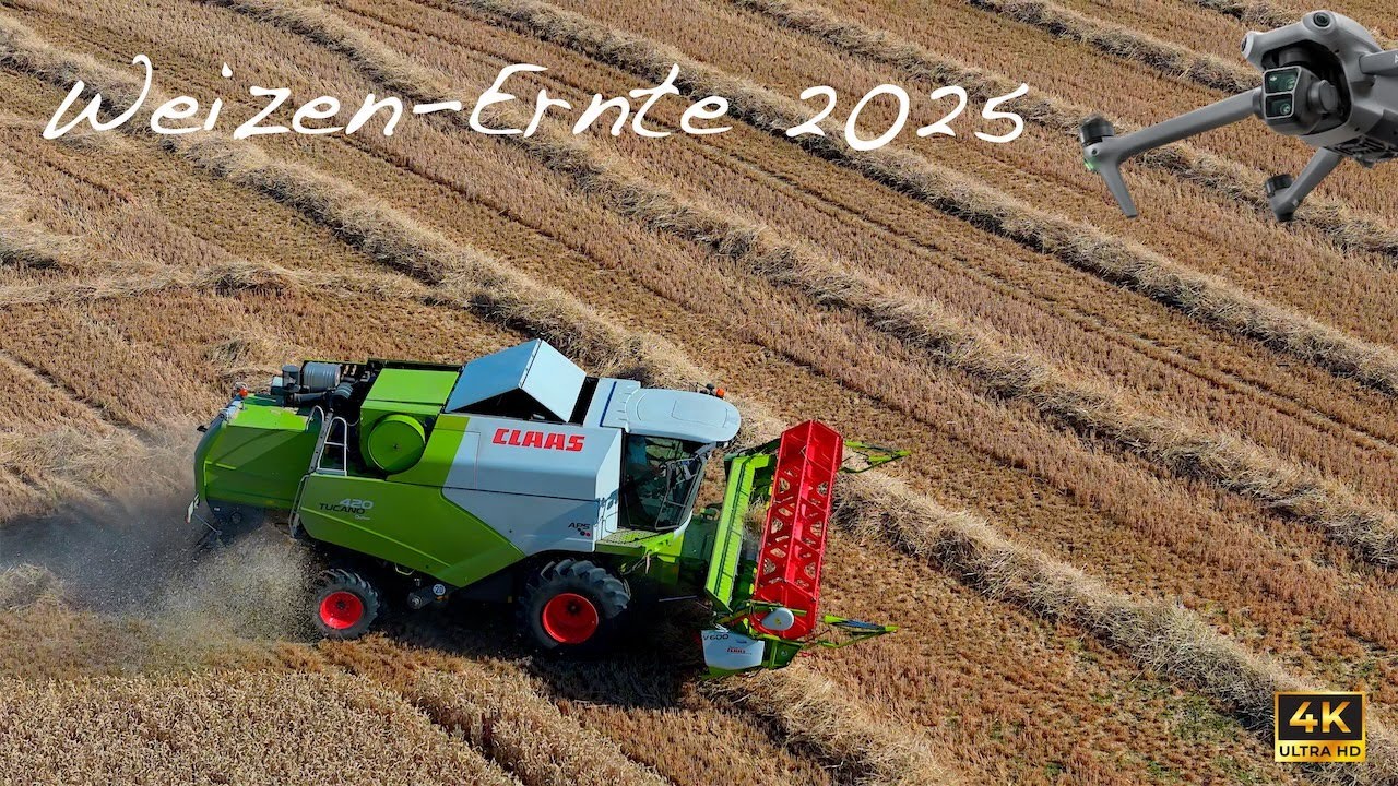Weizen-Ernte 2025 in Weiterdingen - CLAAS TUCANO