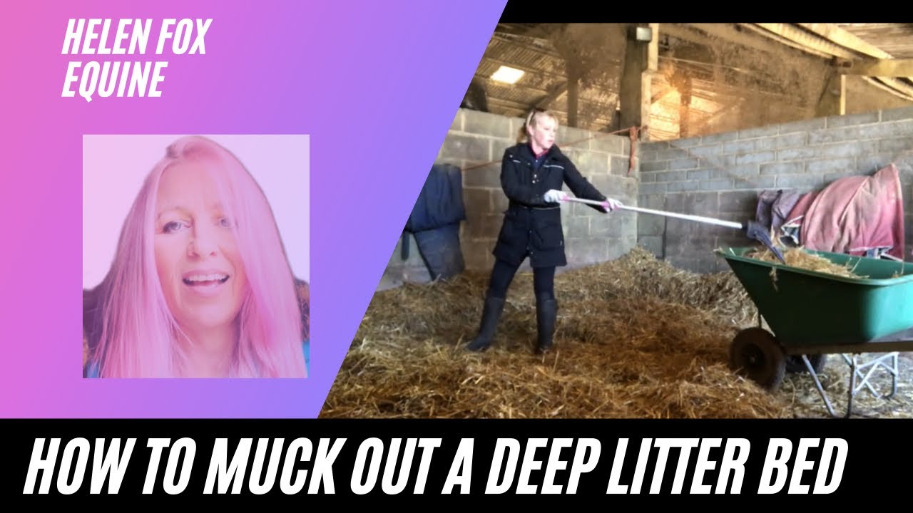How to muck out a Deep Litter Bed #WithMe