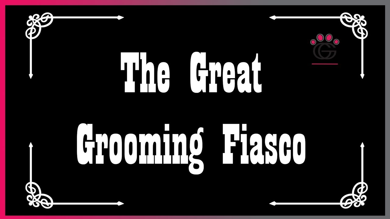 Chewy the Black Lab stars in The Great Grooming Fiasco!