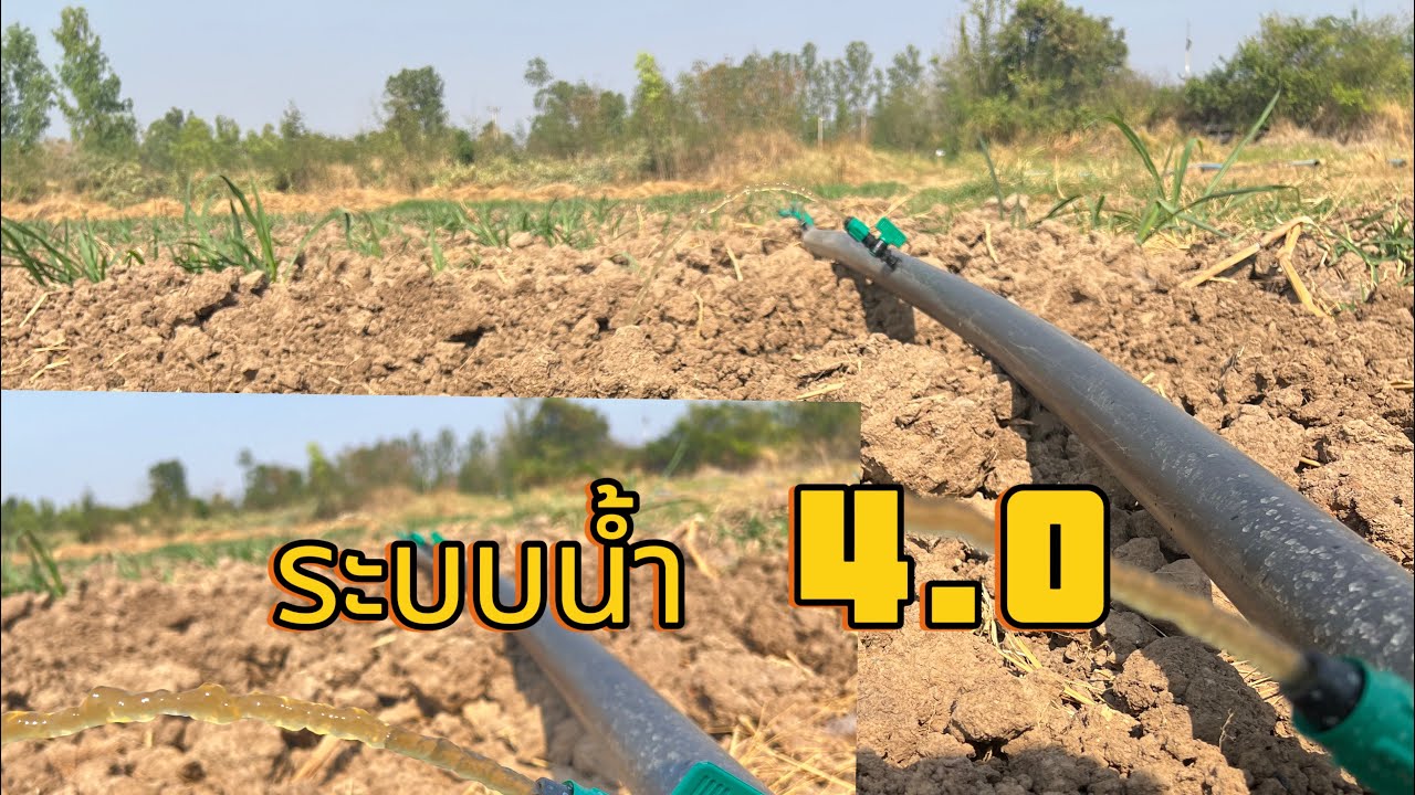 ระบบน้ำ 4.0 ประหยัดต้นทุน กำไร ยาวๆ