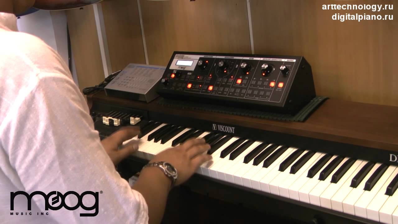 Moog Slim Phatty - Presets Demonstration