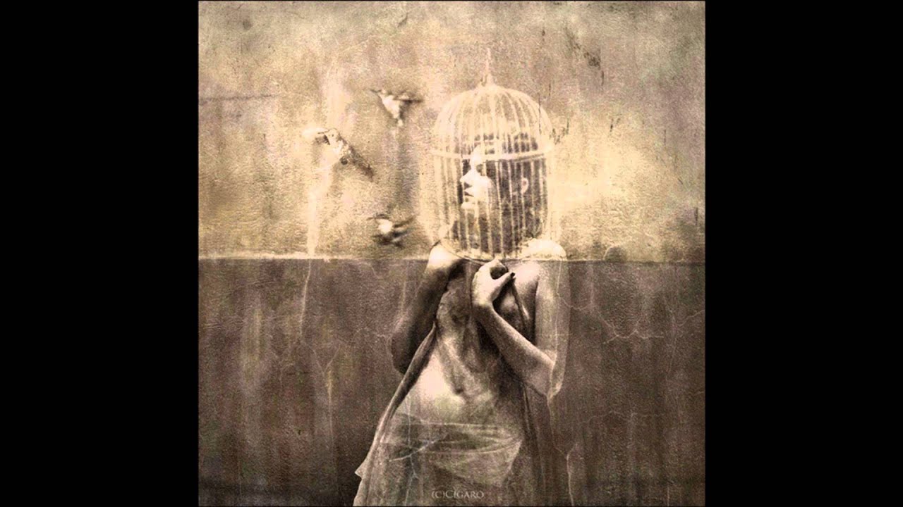 Bitter Ruin - Gentle Man