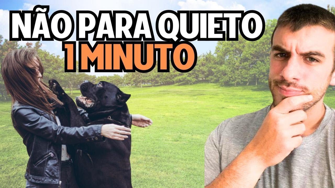 Aprenda a ACALMAR um Cachorro SUPER Agitado