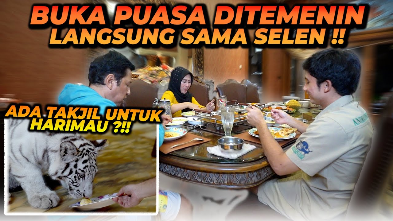 BUKA PUASA DITEMENIN SELEN ! BANTUIN SIAPIN MAKAN BUAT BUKA PUASA ! SELEN PUNYA TAKJIL SENDIRI ?!