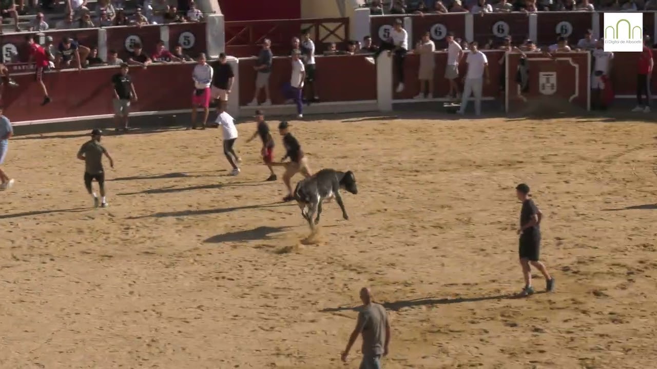 Vaquillas Feria de Albacete 2025, 12 de septiembre