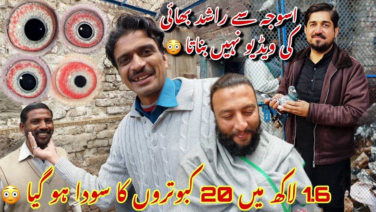 Rashid bhai k sath dost ka 1.6 Lac mai 20 kabotaro ka rate final kar diya 😍