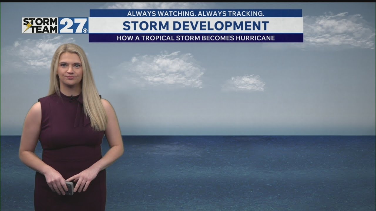 Hurricane Storm Development