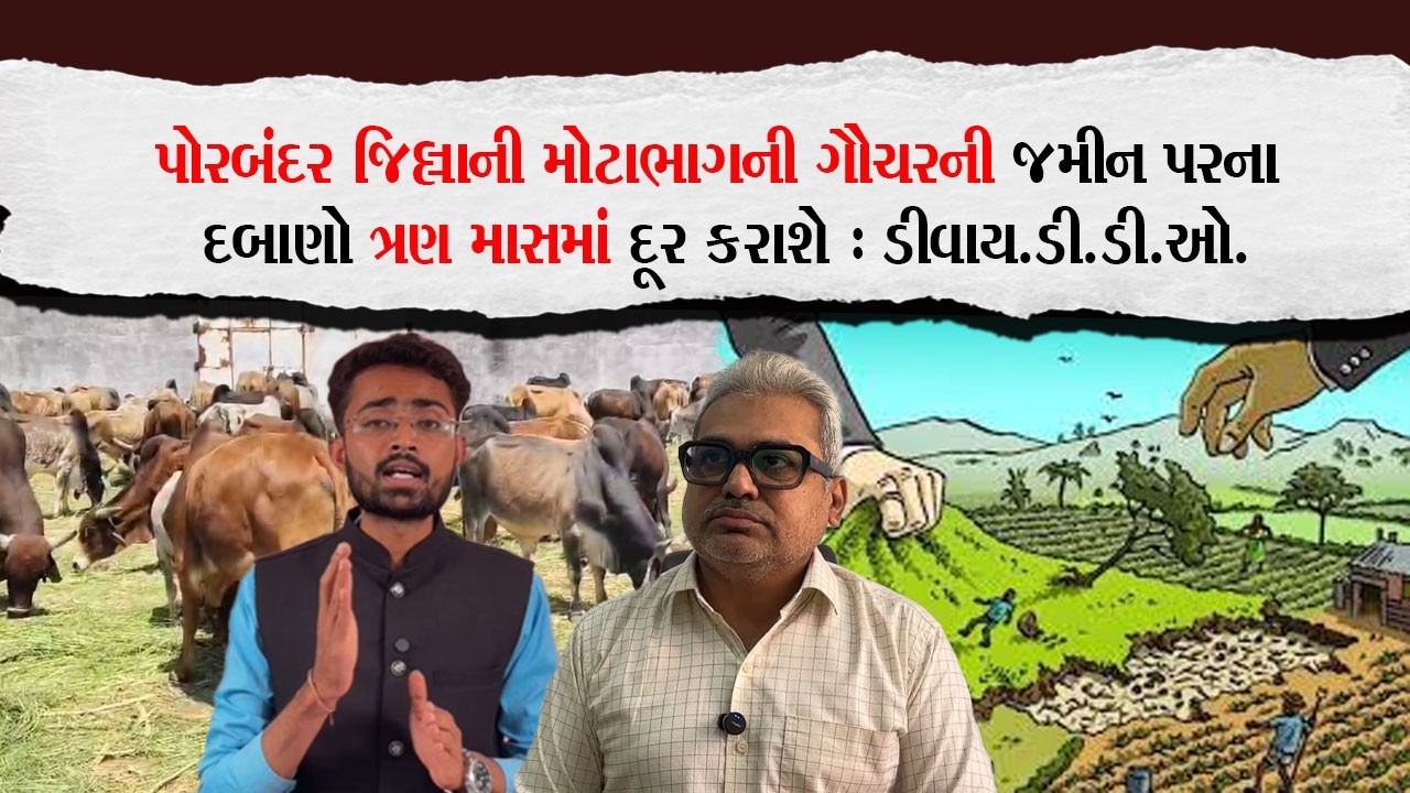પોરબંદર જિલ્લાની મોટાભાગની ગૌચરની જમીન પરના દબાણો ત્રણ માસમાં દૂર કરાશે : ડીવાય.ડી.ડી.ઓ. |Porbandar|