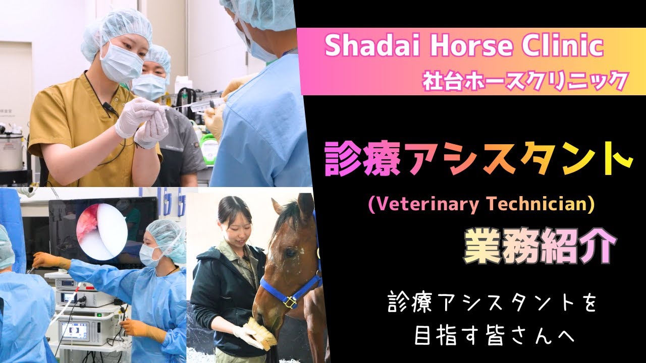 【馬の診療アシスタントを目指す皆さんへ】～社台ホースクリニックの診療アシスタントの業務～