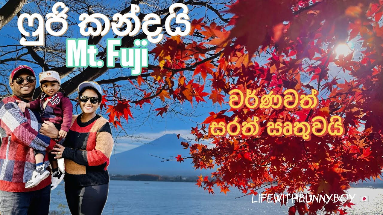 වර්ණවත් සරත් ඍතුව 🍁🇯🇵Japan Autumn Season| Mt. Fuji views| Family Travel | Lifewithbunnyboy 🇯🇵